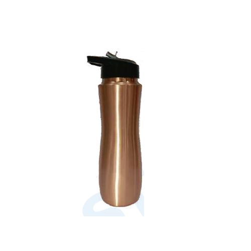 Gym Copper Bottle | 750